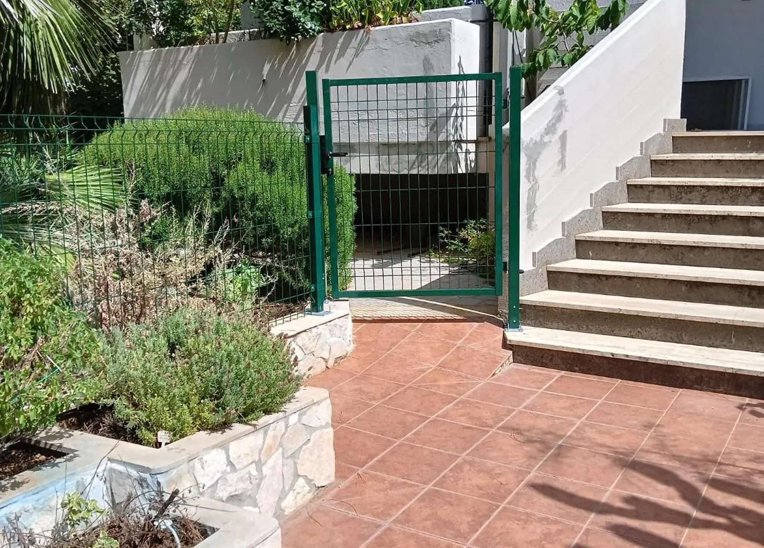 Green54Oro Bari